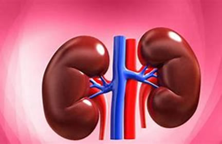 course – Medical Surgical GI GU